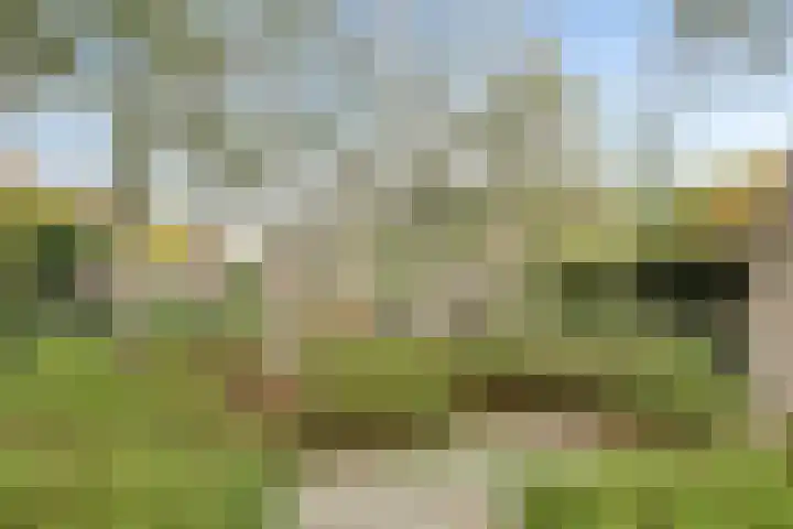 Grasmier 7 Eindhoven thumbnail 36