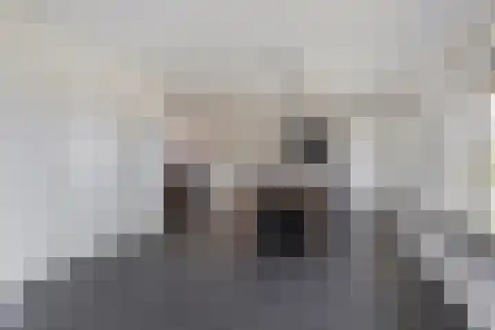 Graspeel 42 Zeeland thumbnail 10