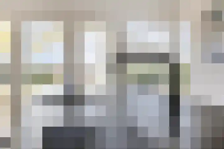 Graspeel 42 Zeeland thumbnail 15