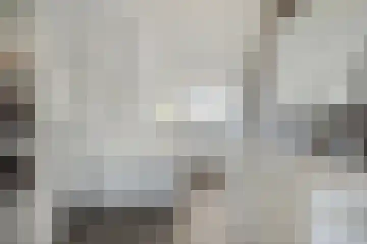 Graspeel 42 Zeeland thumbnail 24