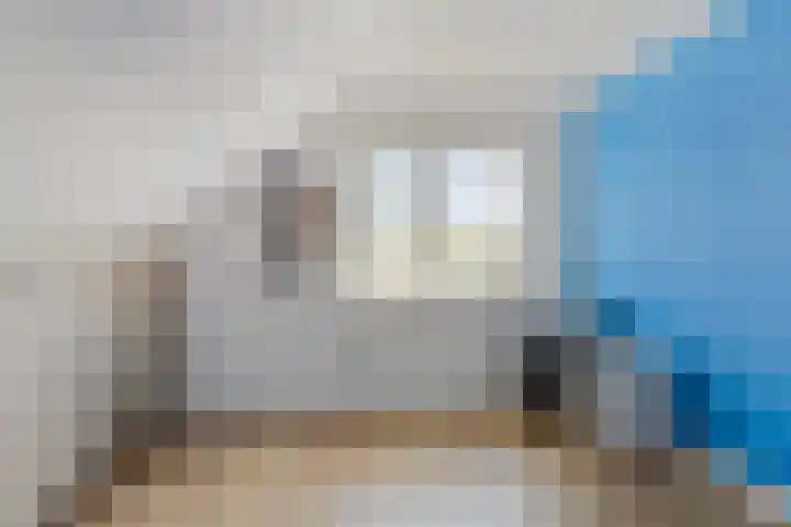 Graspeel 42 Zeeland thumbnail 29