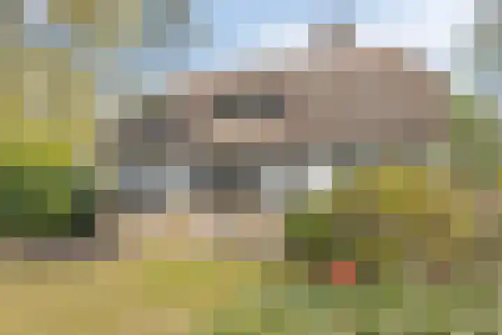 Graspeel 42 Zeeland thumbnail 31