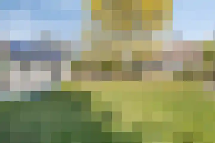 Graspeel 42 Zeeland thumbnail 32