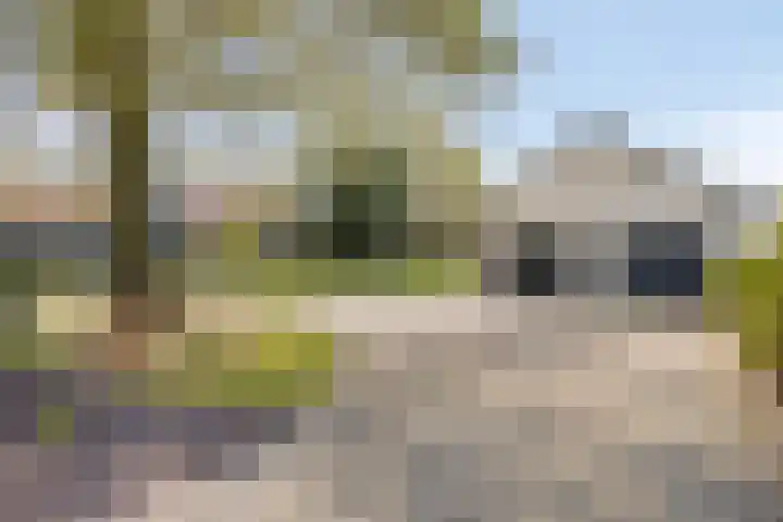 Graspeel 42 Zeeland thumbnail 35