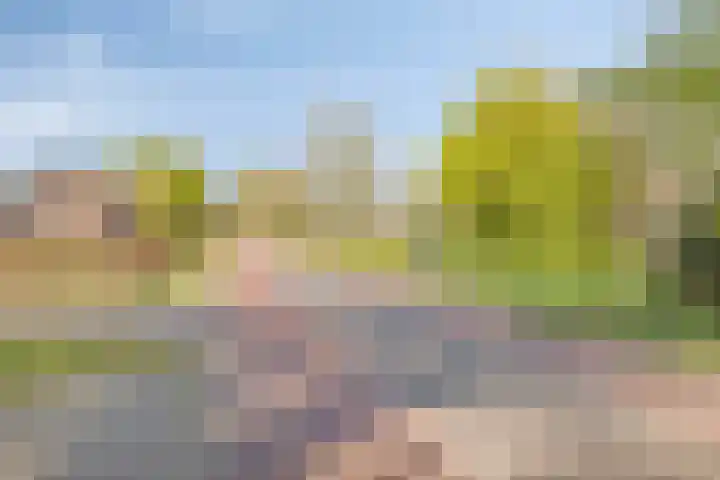 Graspeel 42 Zeeland thumbnail 39