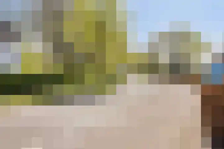 Graspeel 42 Zeeland thumbnail 40