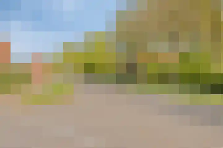 Graspeel 42 Zeeland thumbnail 41