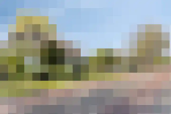 Graspeel 42 Zeeland thumbnail 44