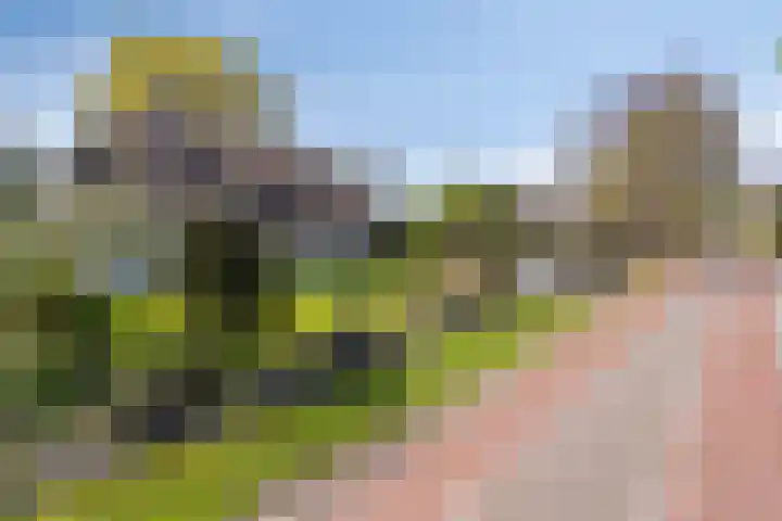 Graspeel 42 Zeeland thumbnail 45