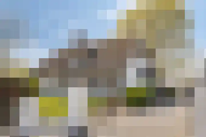 Graspeel 42 Zeeland thumbnail 5