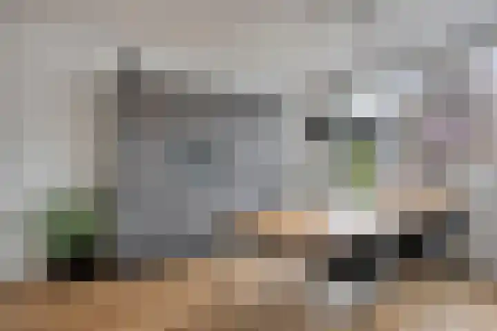 Grasperk 23 Eindhoven thumbnail 14
