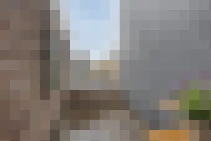 Grasperk 23 Eindhoven thumbnail 24