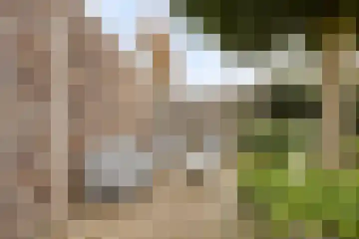 Grasperk 23 Eindhoven thumbnail 28