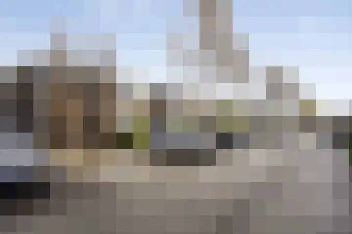 Grasperk 23 Eindhoven thumbnail 5