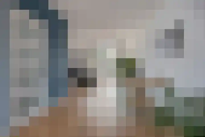Grasperk 23 Eindhoven thumbnail 8