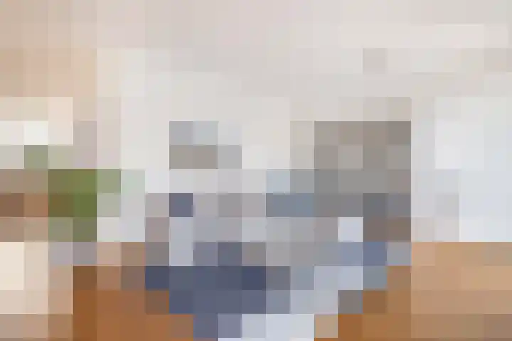 Grasperk 31 Eindhoven thumbnail 10