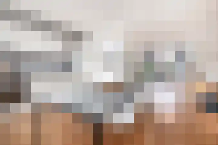Grasperk 31 Eindhoven thumbnail 17