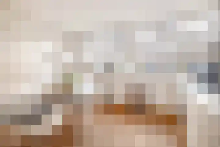 Grasperk 31 Eindhoven thumbnail 20