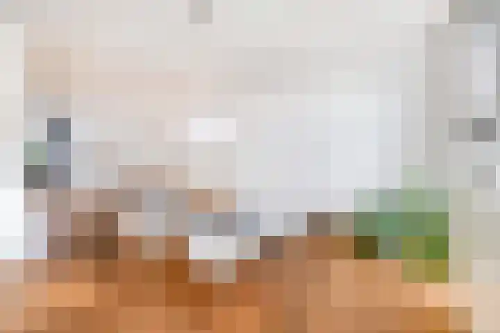 Grasperk 31 Eindhoven thumbnail 21