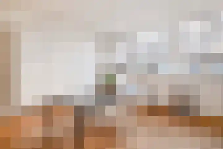 Grasperk 31 Eindhoven thumbnail 22