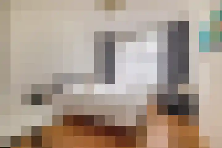 Grasperk 31 Eindhoven thumbnail 30