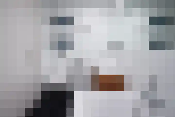 Grasperk 31 Eindhoven thumbnail 34