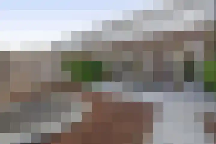 Grasperk 31 Eindhoven thumbnail 38