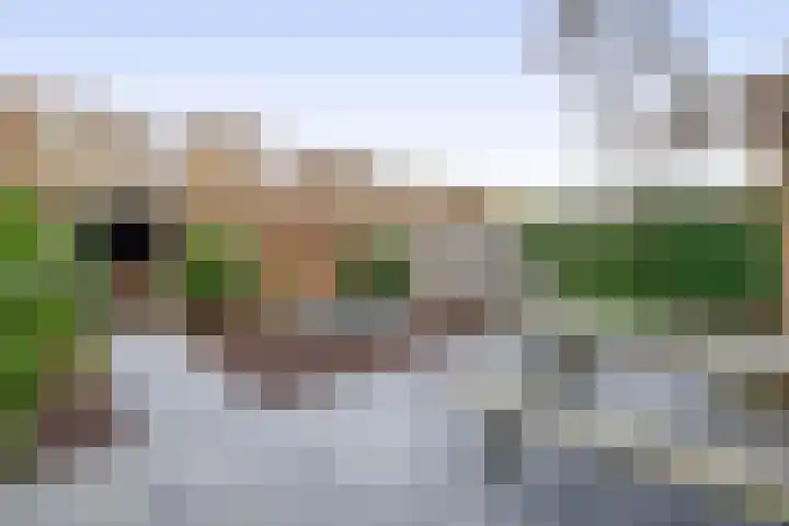Grasperk 31 Eindhoven thumbnail 4