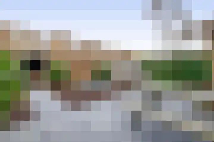 Grasperk 31 Eindhoven thumbnail 41