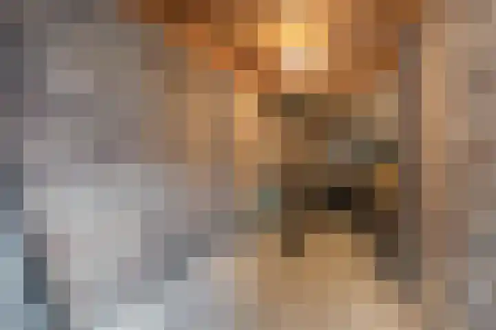 Grasperk 31 Eindhoven thumbnail 42