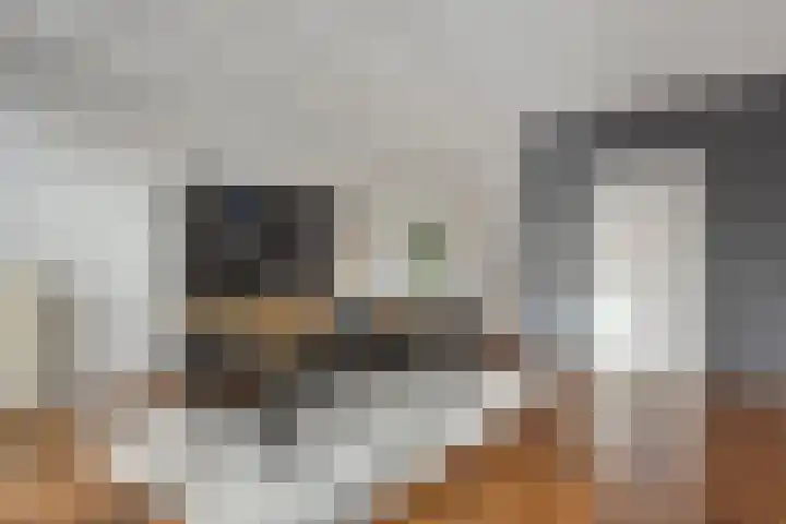 Grasperk 8 Eindhoven thumbnail 10