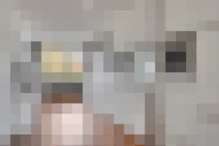 Grasperk 8 Eindhoven thumbnail 14