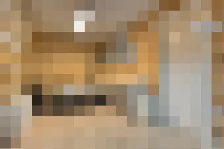 Grasperk 8 Eindhoven thumbnail 18