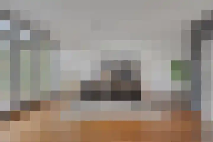 Grasperk 8 Eindhoven thumbnail 9
