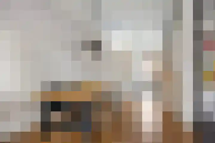 Graspieper 105 Eindhoven thumbnail 12