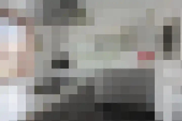 Graspieper 105 Eindhoven thumbnail 13