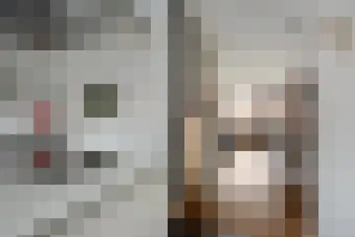 Graspieper 105 Eindhoven thumbnail 16
