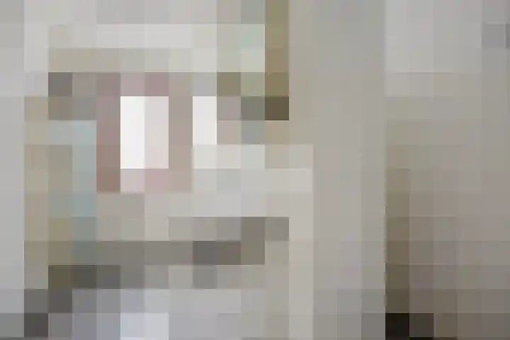Graspieper 105 Eindhoven thumbnail 26