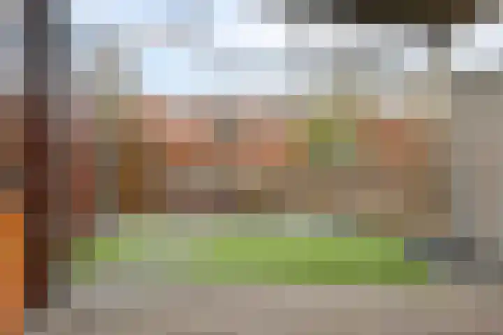 Graspieper 105 Eindhoven thumbnail 38
