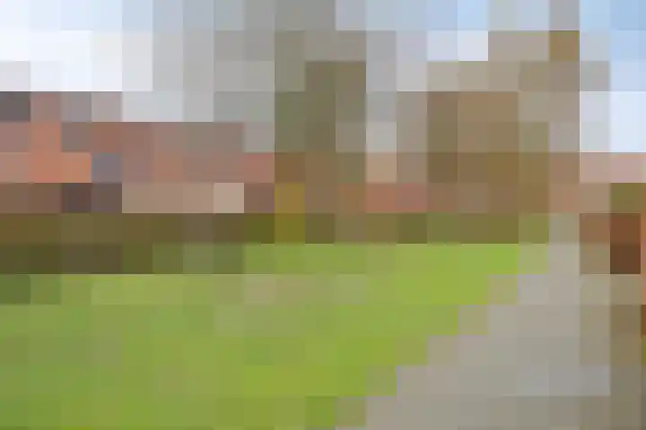 Graspieper 105 Eindhoven thumbnail 41