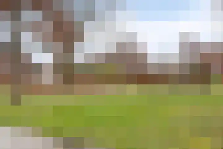 Graspieper 105 Eindhoven thumbnail 42