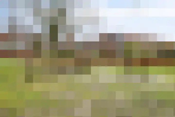 Graspieper 105 Eindhoven thumbnail 43