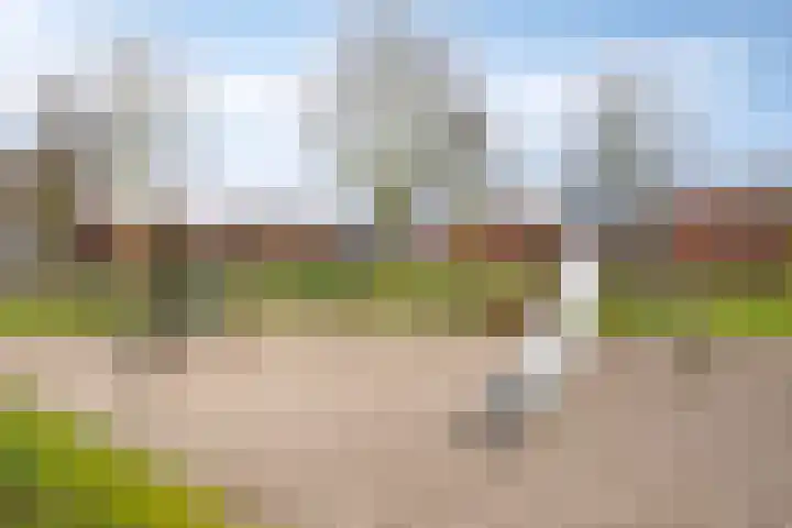 Graspieper 105 Eindhoven thumbnail 44
