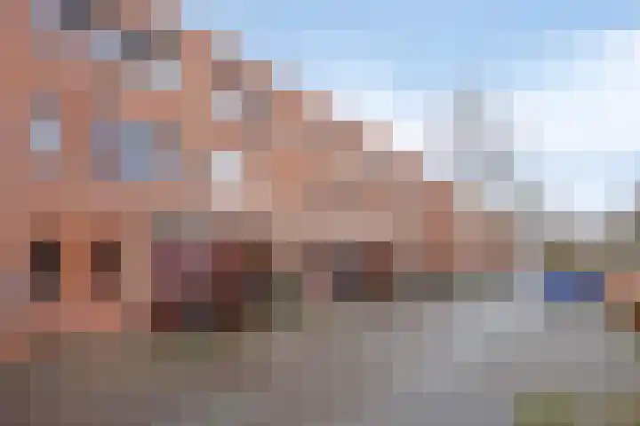 Graspieper 105 Eindhoven thumbnail 45