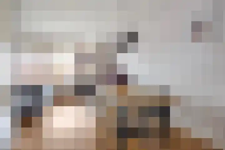 Graspieper 105 Eindhoven thumbnail 7