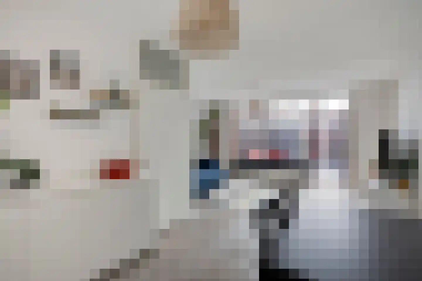 Graspieper 121 Eindhoven thumbnail 21