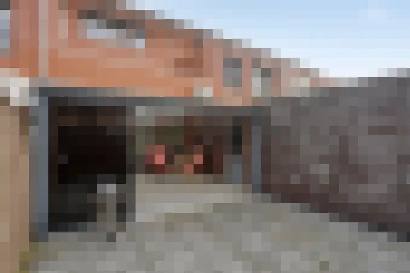 Graspieper 121 Eindhoven thumbnail 38