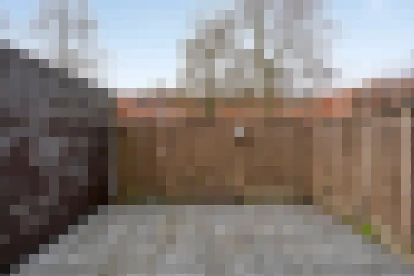 Graspieper 121 Eindhoven thumbnail 39