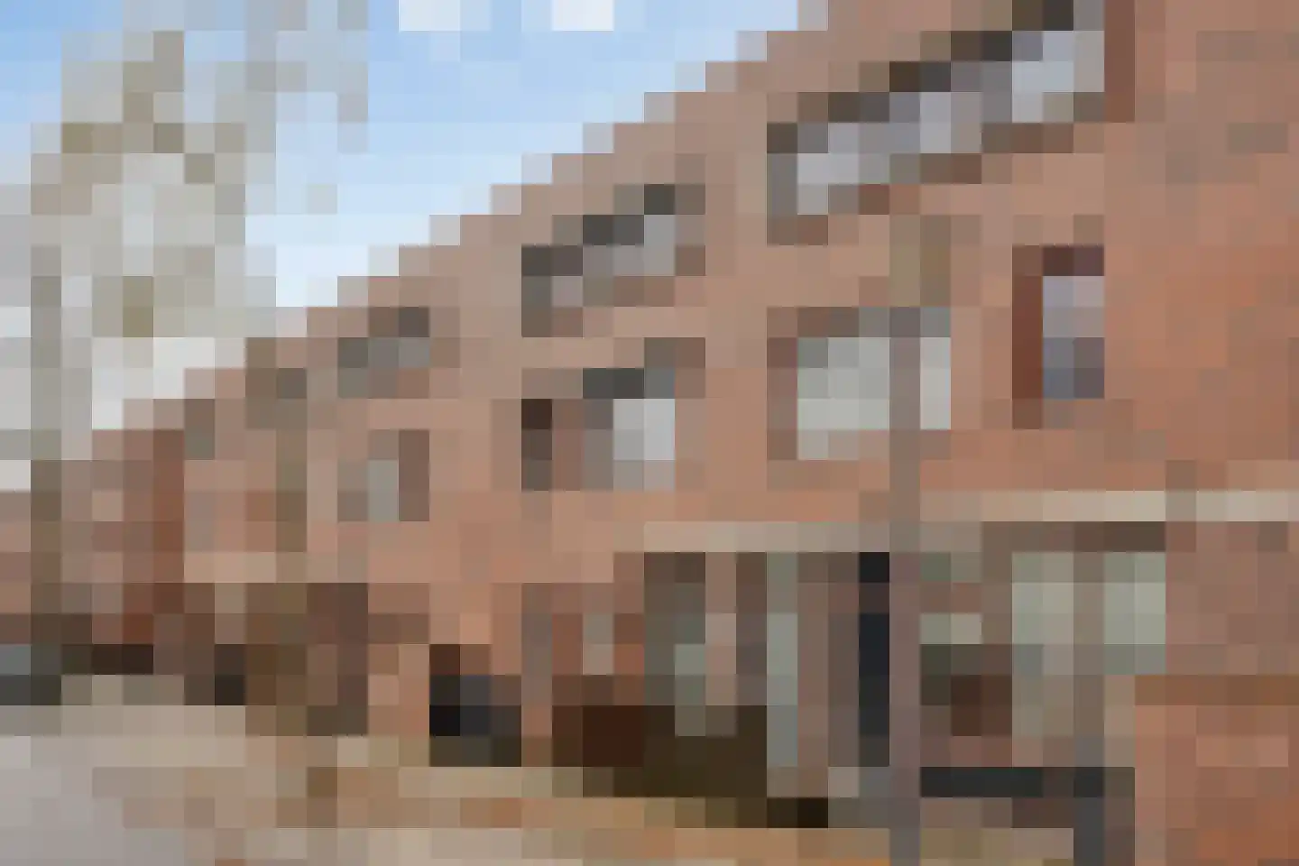 Graspieper 121 Eindhoven thumbnail 7