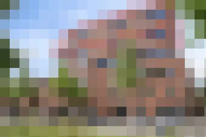 Graspieper 25 Eindhoven